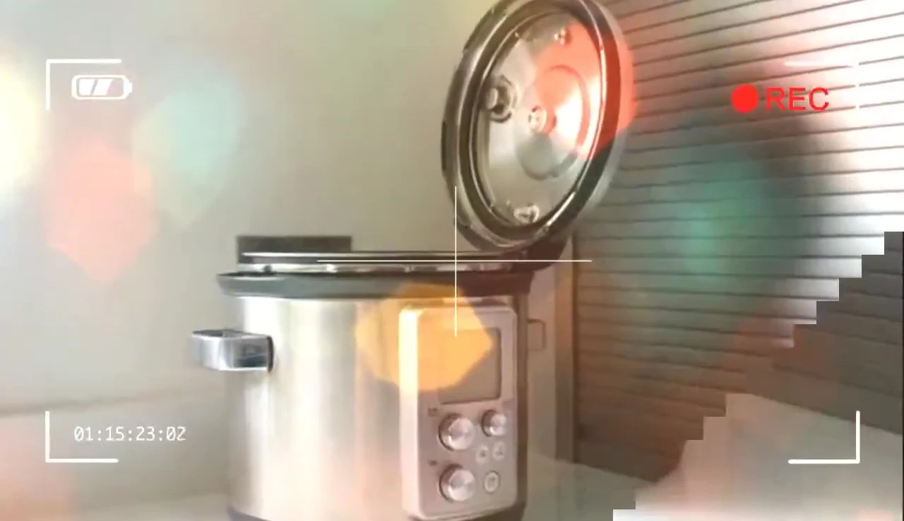 Sage Fast Slow Pro multi-cooker