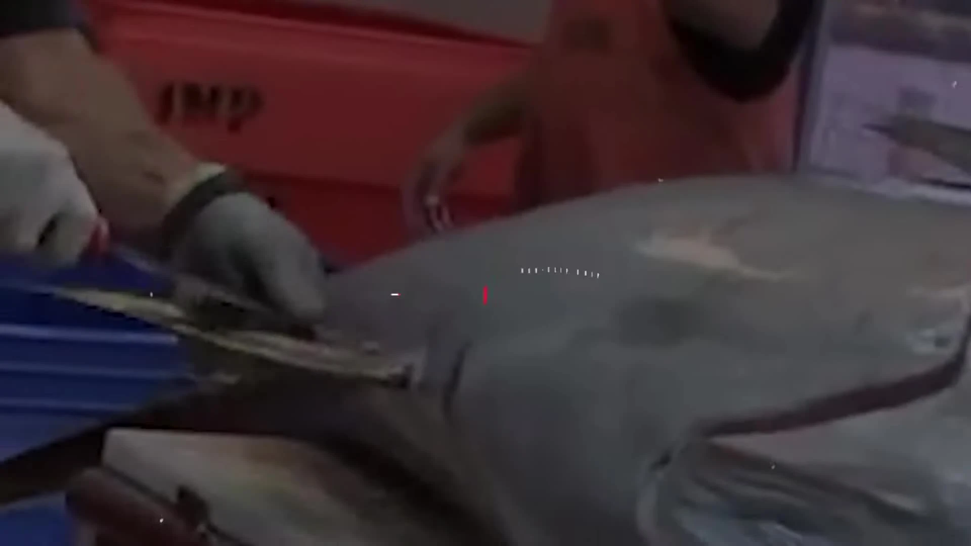 Gros plan sur la poignée rouge antidérapante du couteau.