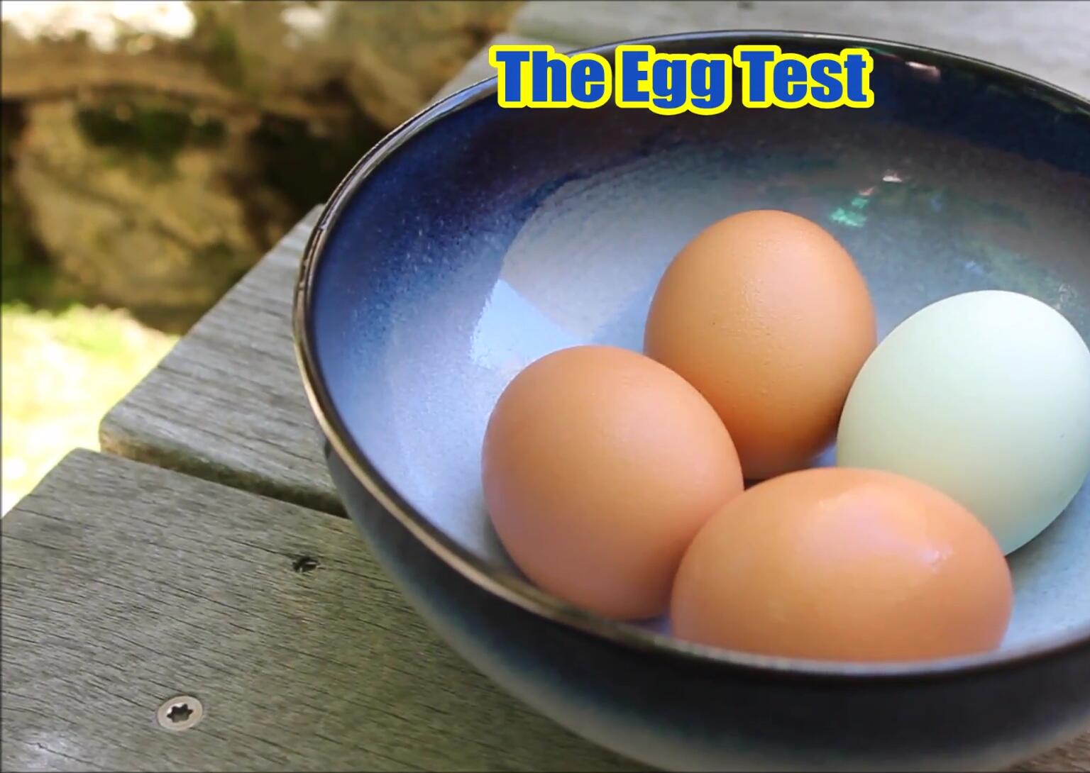 Préparation du test de l'œuf.