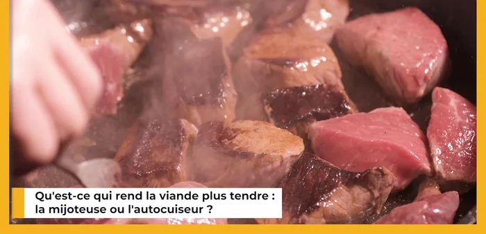 Attendrissement de la viande : Les deux appareils attendrissent la viande, mais la mijoteuse est souvent préférée pour sa cuisson lente et la fonte des graisses.