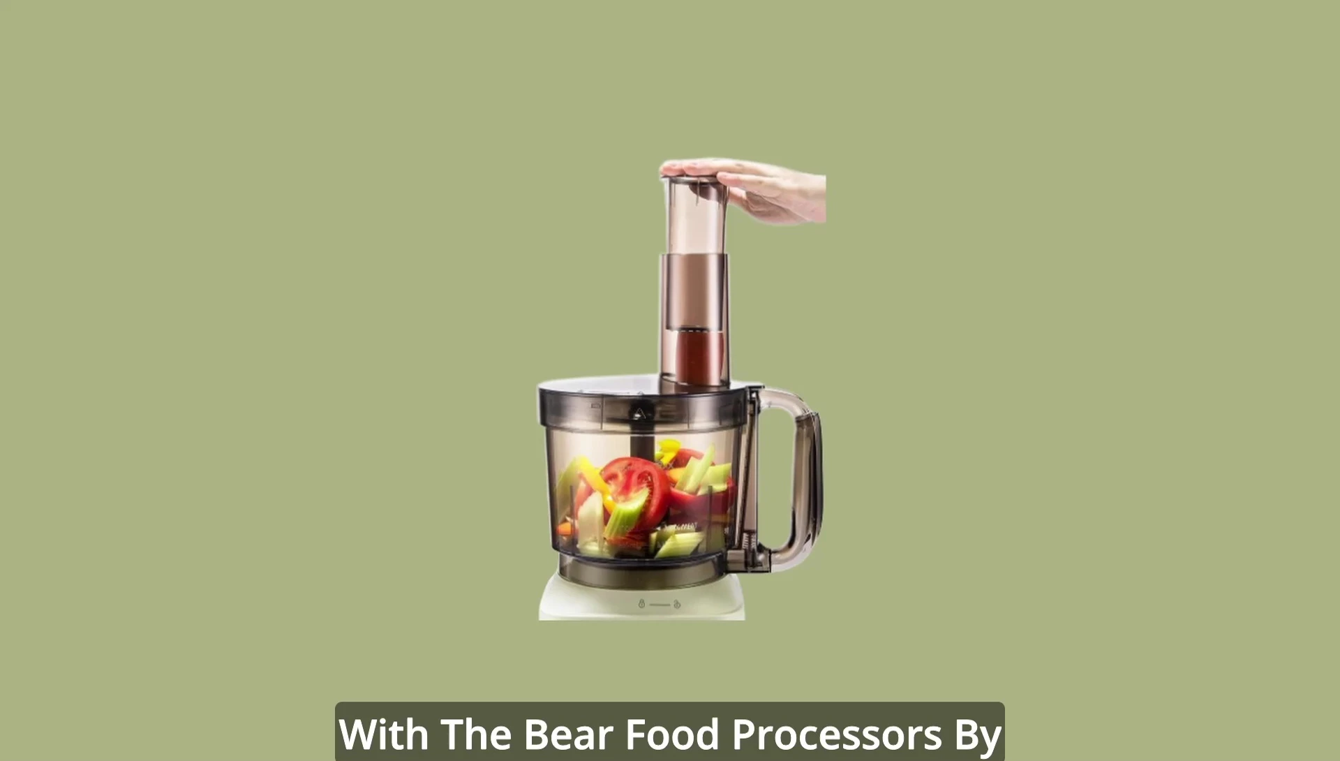 Vue d'ensemble du robot culinaire Bear