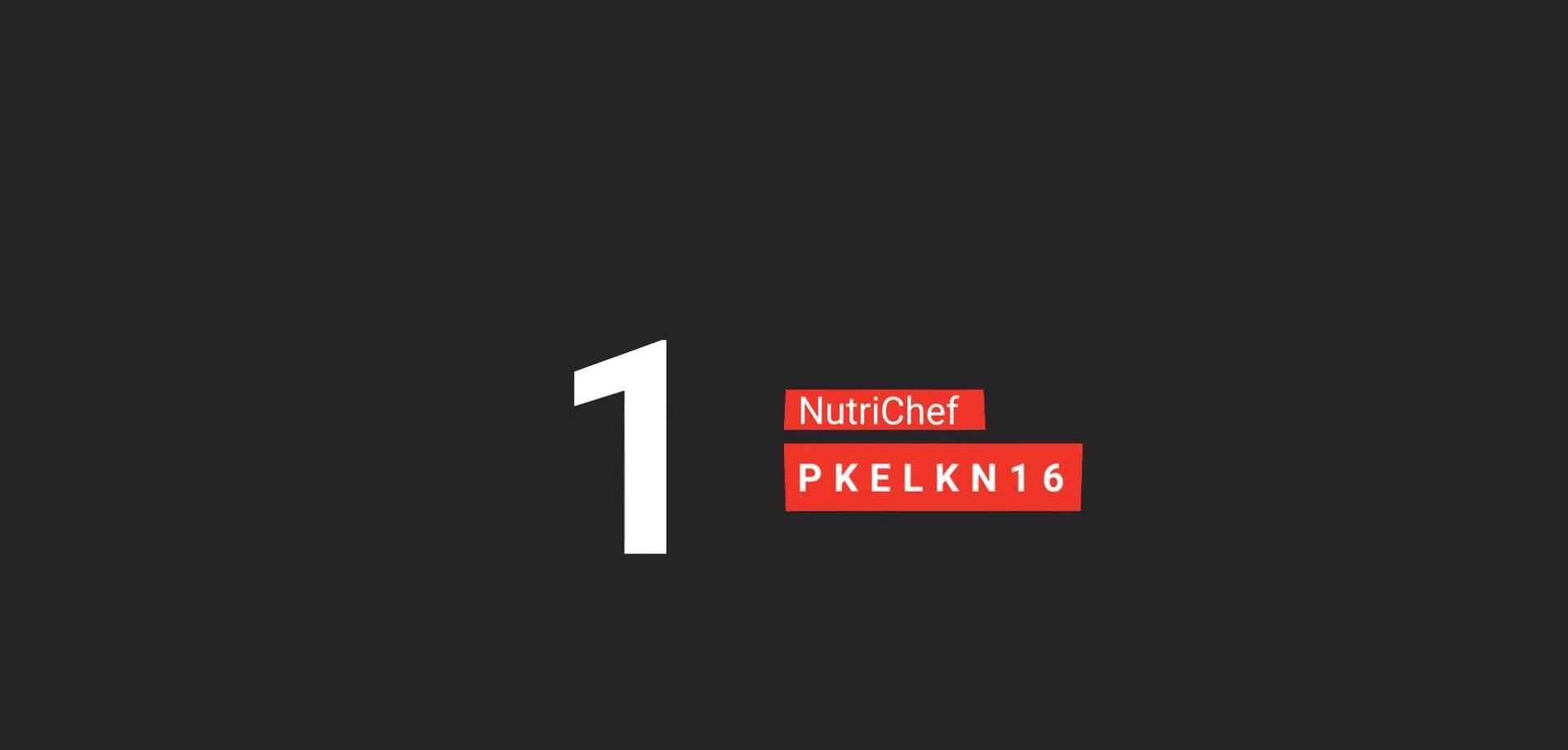 Présentation du NutriChef PCAL-KN16