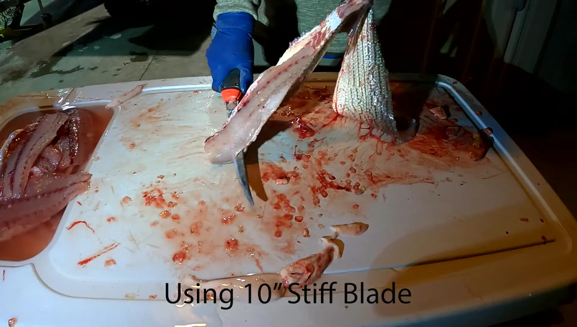 Changement de lame pour un poisson plus grand