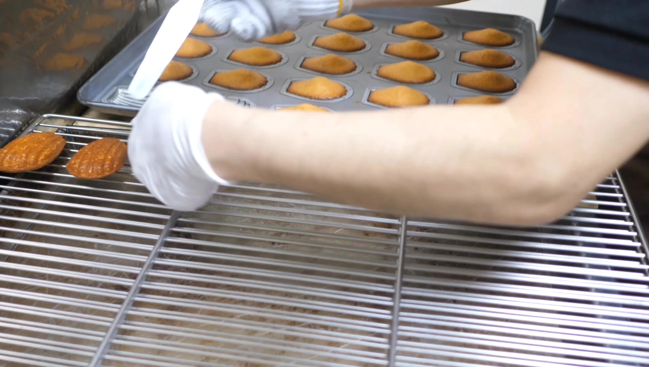 Gros plan sur une madeleine, soulignant sa surface brillante.