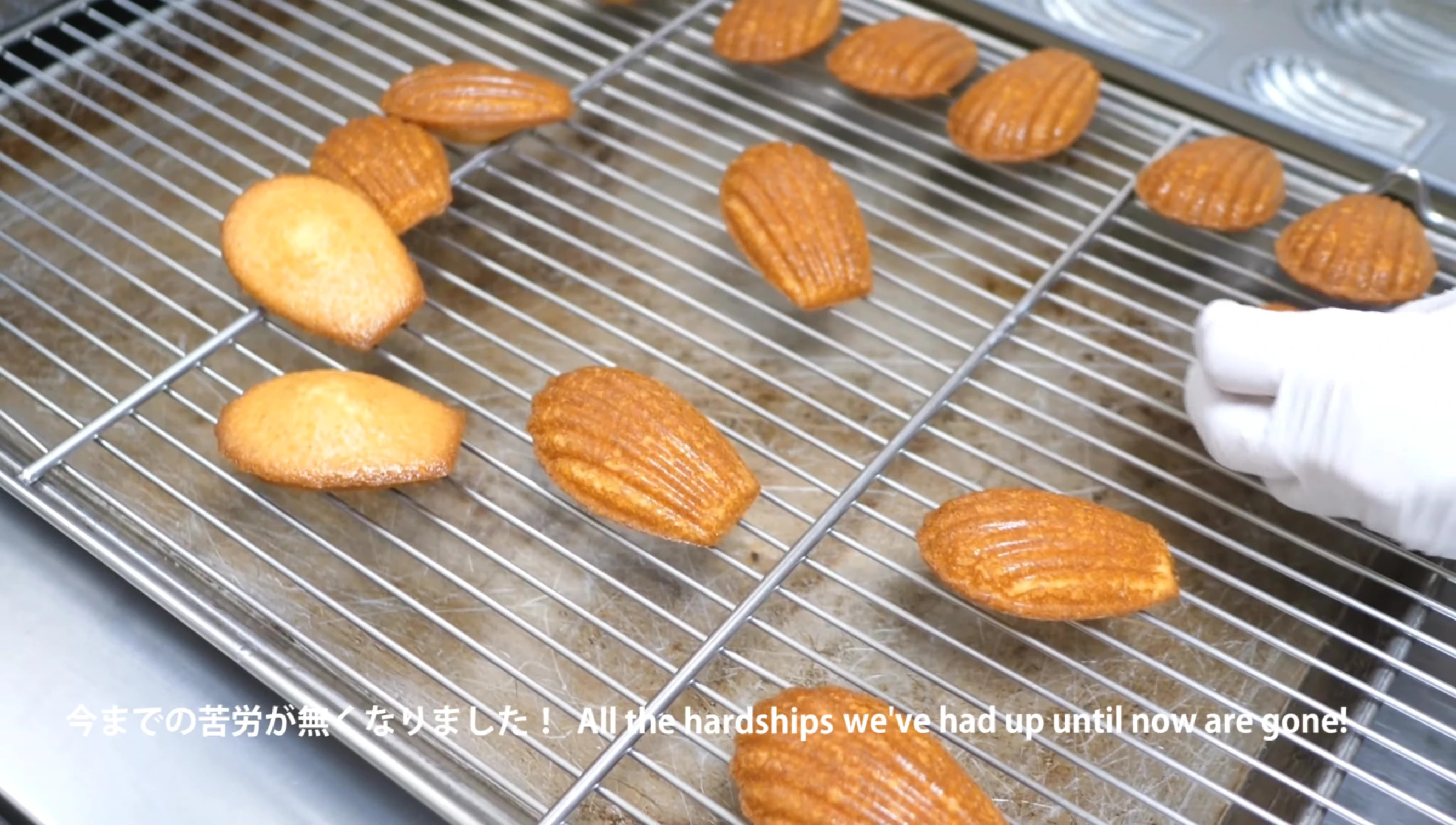 Vue d'ensemble des madeleines cuites, mettant en valeur leur apparence impeccable.