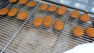 Rénovation d'un moule à madeleines : un test réussi !